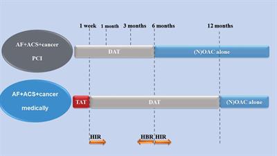 Antithrombotic strategy in cancer patients comorbid with acute coronary syndrome and atrial fibrillation